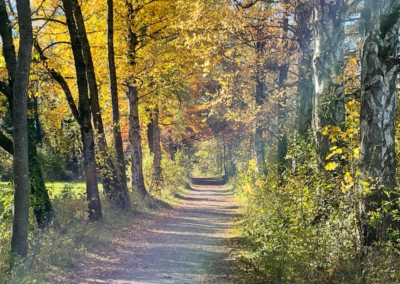 Sonntag, 15. November 2026 Yoga & Ayurveda Soulfood in der Herbst- und Winterzeit
